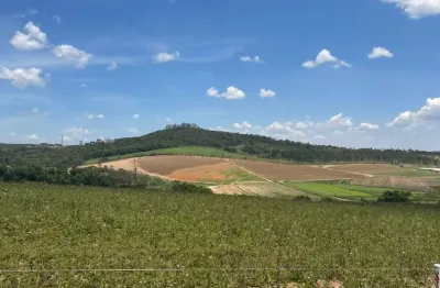 Terrenos com alta valorização em cotia – invista com segurança!