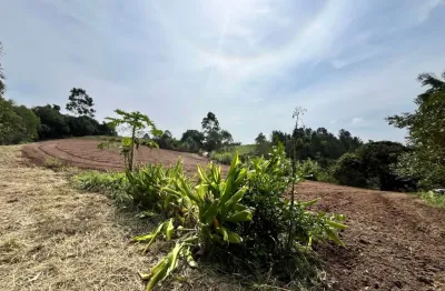 L1- incríveis oportunidades venha para cotia lote com ótimas oportunidades de vida.