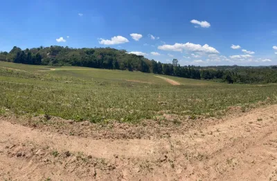 L1- paz e tranquilidade venha para cotia! viver em meio a natureza.