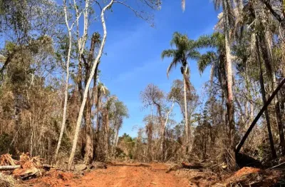 L1- lotes super planos venha conhecer e já compre o seu! corra e garanta.