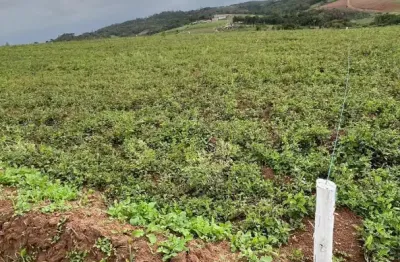 Terreno à venda na Rua Antonio Carlos Pires, 156, Recreio Topázio (Caucaia do Alto), Cotia