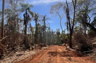 L1-  os melhores preços so aqui, venha e compre seu tão sonhado lote.