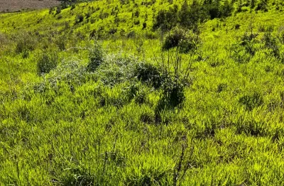 Terrenos em Atibaia - Venha fazer sua visita e faça seu investimento !