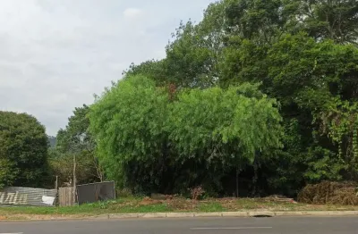 Terreno à venda na Avenida Vicente Monteggia, --, Cavalhada, Porto Alegre