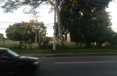 Terreno à venda na Avenida Edgar Pires de Castro, --, Restinga, Porto Alegre