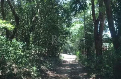 Terreno à venda na Estrada Cristiano Kraemer, --, Vila Nova, Porto Alegre