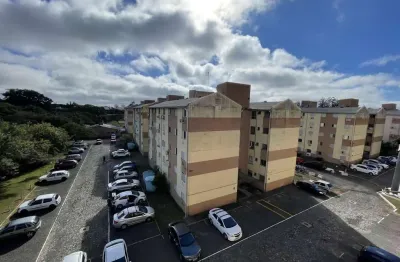 Apartamento, 2 dormitórios zona norte em porto alegre para comprar