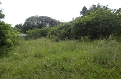 Terreno à venda na Estrada São Caetano, --, Lami, Porto Alegre