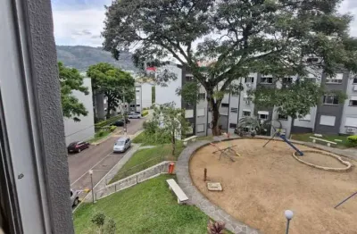 Lindo apartamento 1dormitório na ary tarrago proximo a protasio alves
