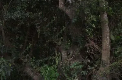 Terreno à venda na Avenida Edgar Pires de Castro, --, Aberta dos Morros, Porto Alegre