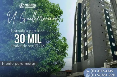 Apartamento para venda em são paulo, vila guilhermina, 2 dormitórios, 1 banheiro, 1 vaga