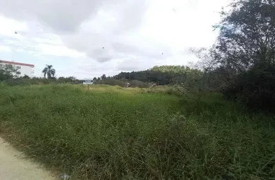 Terreno comercial para alugar na Rua das Cerejeiras, s/nº, Pedra Branca, Palhoça