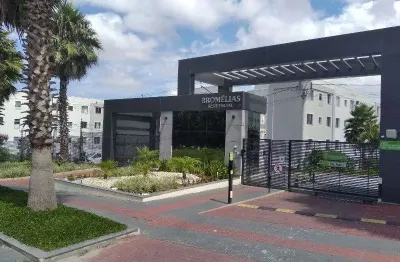 Apartamento com 2 quartos para alugar na Rua Sebastião Alzemiro Dos Santos, 347, Bela Vista, Palhoça