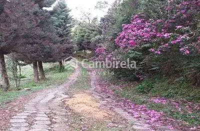 Casa com 2 quartos à venda no Centro, Águas Mornas 