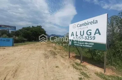 Terreno comercial para alugar no Pachecos, Palhoça 