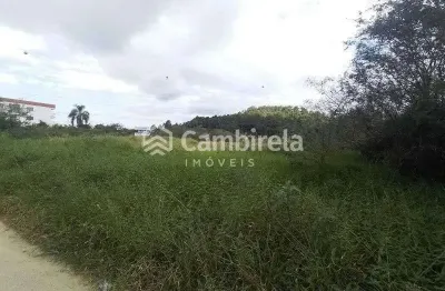 Terreno comercial para alugar na Cidade Universitária Pedra Branca, Palhoça 