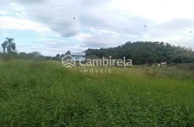 Terreno comercial para alugar em Pedra Branca, Palhoça 