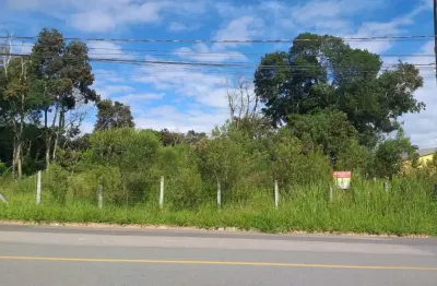 Terreno comercial à venda na Rua Hermenegildo Pauletto, Arujá, São José dos Pinhais