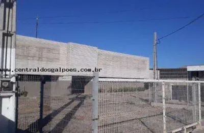 Barracão / Galpão / Depósito para alugar na Cidade dos Funcionários, Fortaleza 