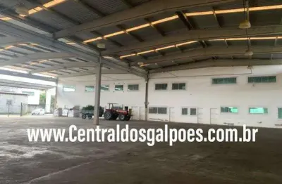 Barracão / Galpão / Depósito para alugar na Rua Pau Brasil, 65, Aviário, Feira de Santana