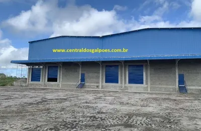 Barracão / Galpão / Depósito para alugar na Rua B, 54, CIS, Feira de Santana