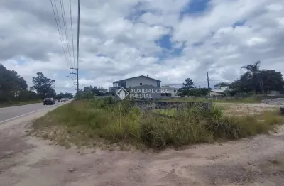 Terreno à venda na rodovia evádio paulo broering, 2367, pinheira, palhoça, 424 m2 por r$ 420.000