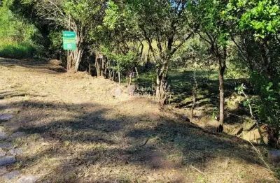 Terreno à venda na rua aderbal ramos da silva, 01, pinheira, palhoça, 366 m2 por r$ 450.000