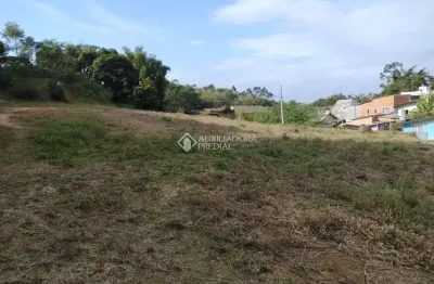 Terreno comercial à venda na br 101, 11, área rural de biguaçu, biguaçu, 3688 m2 por r$ 800.000