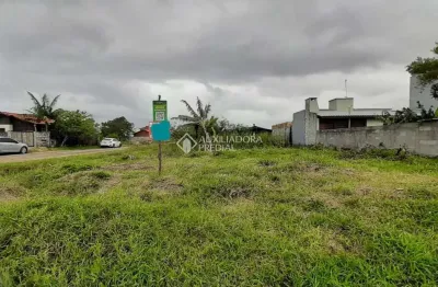 Terreno à venda na dante sanfelice, 255, pinheira, palhoça, 447 m2 por r$ 380.000