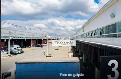 Galpão para alugar, 3369 m² - jardim santa vicência - guarulhos/sp