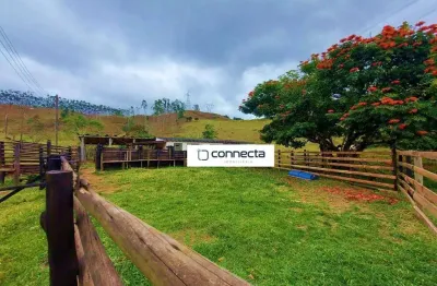 Rancho à venda, 145.200 m² por r$ 998.000 - poço grande - tremembé/sp