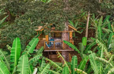 Terreno - 5.000m2 com casa na árvore e visual deslumbrante para a pedra do báu.