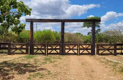 Fazendinhas pequiranda localizado na região de cordisburgo / mg