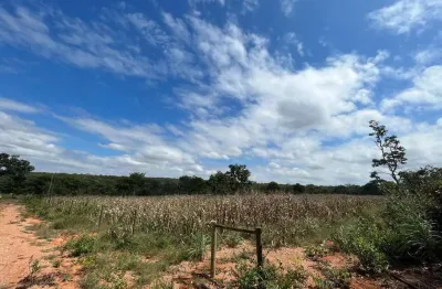 Fazendinhas pequiranda localizado na região de cordisburgo / mg