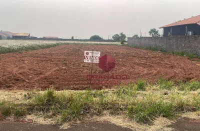 Terreno à venda, 750 m² por r$ 180.000,00 - loteamente villa verde - iguaraçu/pr