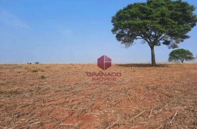 Terreno à venda, 20000 m² por r$ 900.000,00 - distrito de iguatemi (iguatemi) - maringá/pr