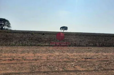 Terreno à venda, 20000 m² por r$ 900.000,00 - distrito de iguatemi (iguatemi) - maringá/pr