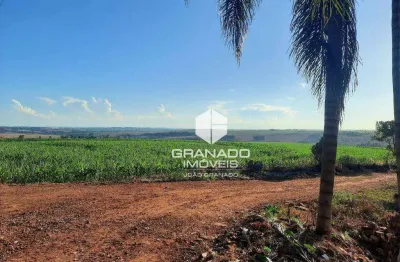 Sítio de 10 alqueires à venda, próx porco no tacho - são domingos - maringá/pr