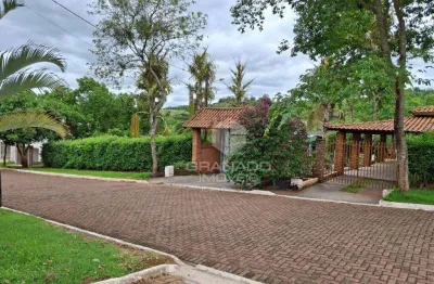 Chácara com 3 dormitórios à venda, 6049 m² por R$ 1.500.000,00 - Parque Alvamar - Sarandi/PR