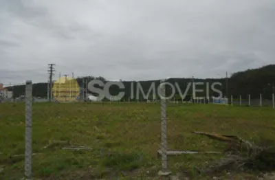 Terreno à venda no ingleses, florianópolis  por r$ 5.800.000