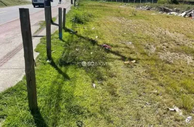 Terreno à venda no vargem grande, florianópolis  por r$ 25.000.000