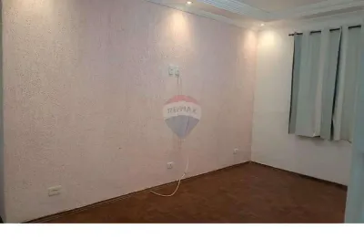 Apartamento locação  apto pet-friendly no jardim leocadia'