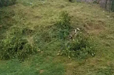 Terreno à venda na Rua Arthur Alberto Zanela, 231, Lomba do Pinheiro, Porto Alegre