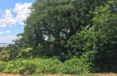 Terreno à venda na Rua Liberal, 136, Tristeza, Porto Alegre