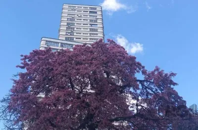 Sala comercial à venda na Praça Osvaldo Cruz, 15, Centro Histórico, Porto Alegre