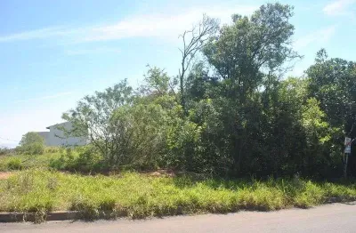 Terreno à venda na Rua Giorgio Negroni, 1111, Espírito Santo, Porto Alegre