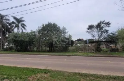 Terreno à venda na Estrada Jorge Pereira Nunes, 373, Campo Novo, Porto Alegre