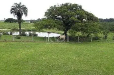 Sítio  com 4 hectares no bairro itapuã em viamão/rs
