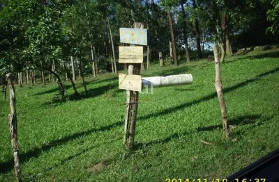 Terreno para venda - 0m², 0 dormitórios, lomba do pinheiro