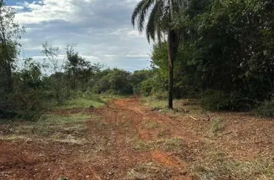 Fazenda à venda na Rua Tereza Rosa Leite, Panorama Industrial, Igarapé